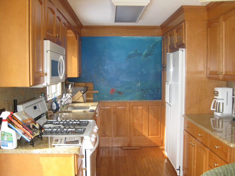Marble Kitchen Counter Tops and hand painted muriel in Kitchen Area 