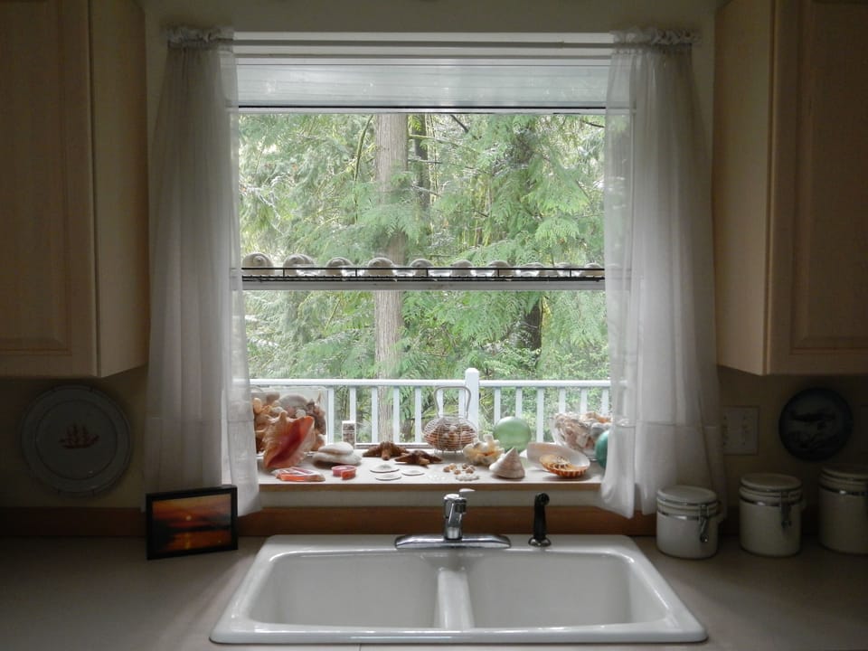 Kitchen sink, showing the greenhouse window and greenbelt behind the house