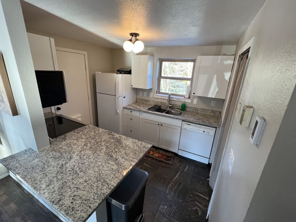 Kitchen/Main Entrance 