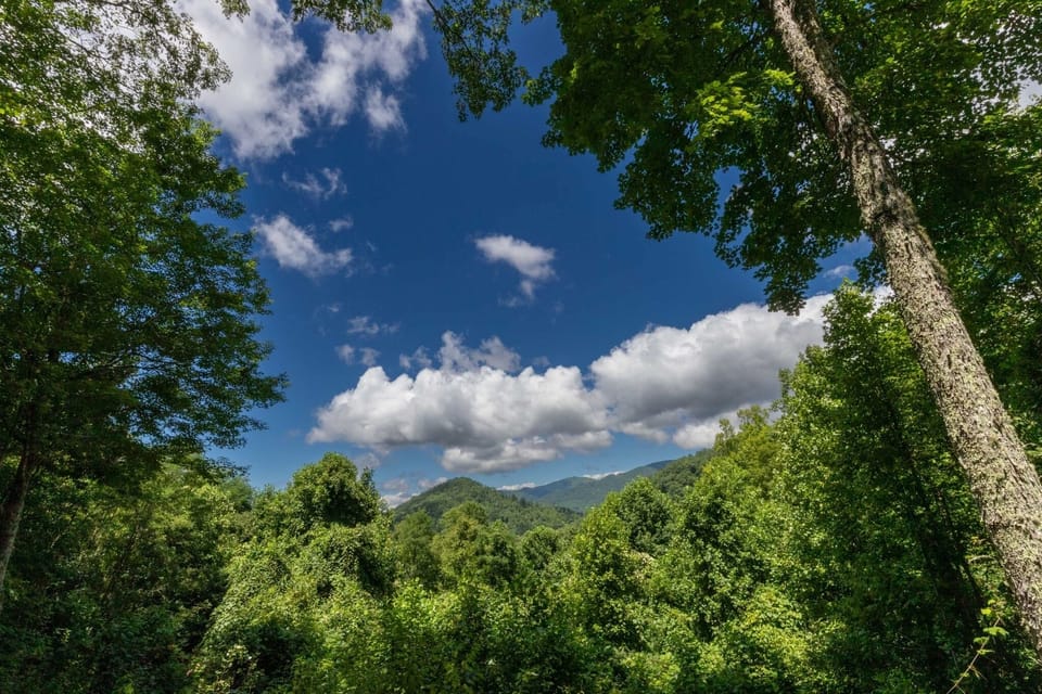 Views - Mountain Views