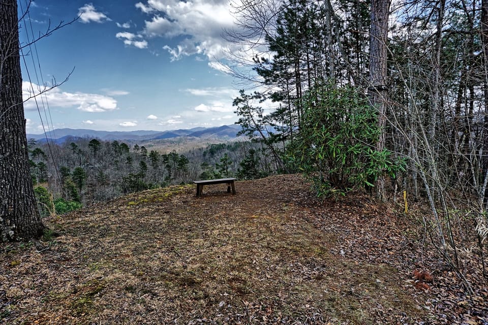 Mountain View - Mountain View