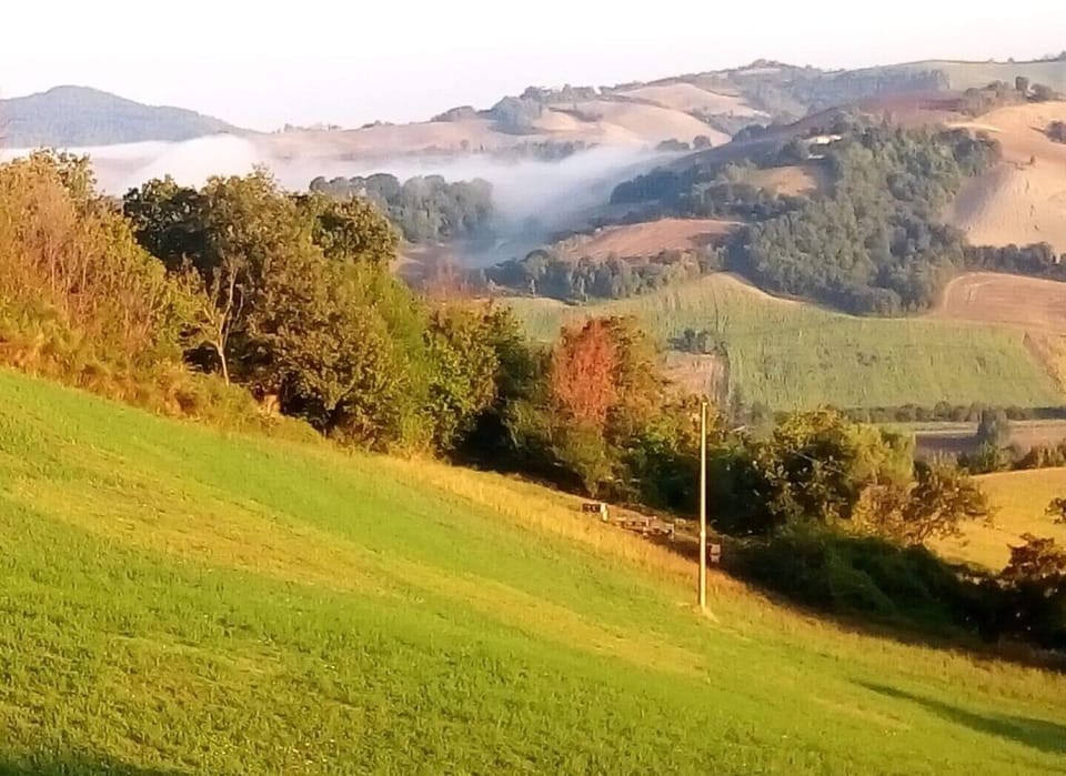 Agriturismo Alla Vecchia Quercia vacation apartment "La Casetta" for 2 persons Apartment in Marche