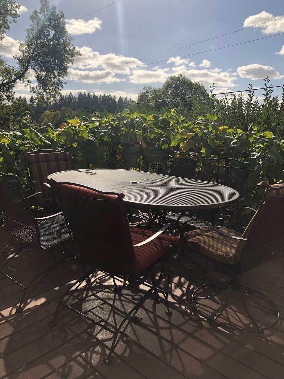 One of two spacious decks..great for outdoor dining, including gas BarBQue.