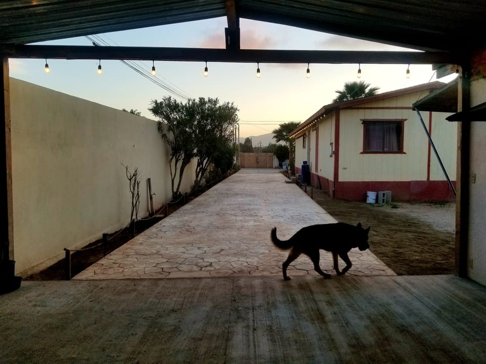 Property grounds