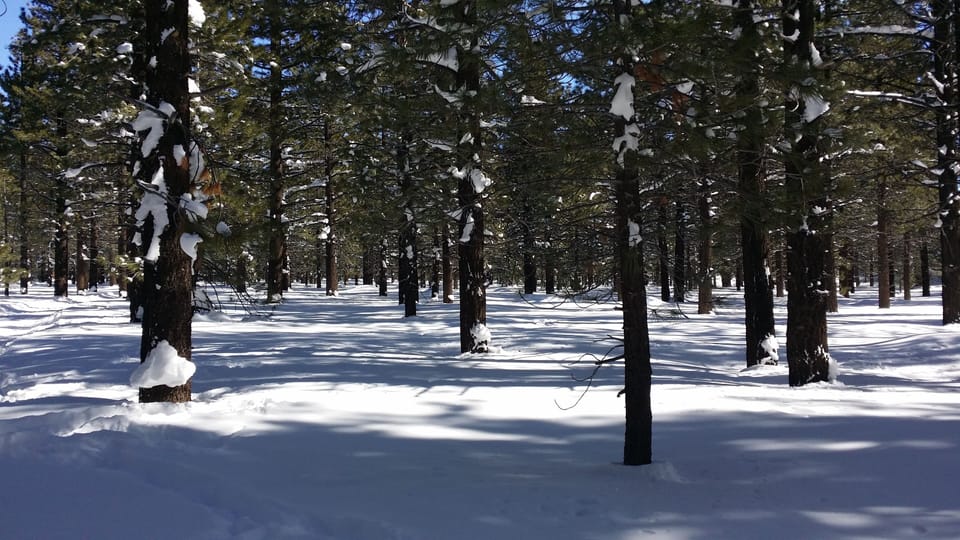 Great trails if you are not skiing.