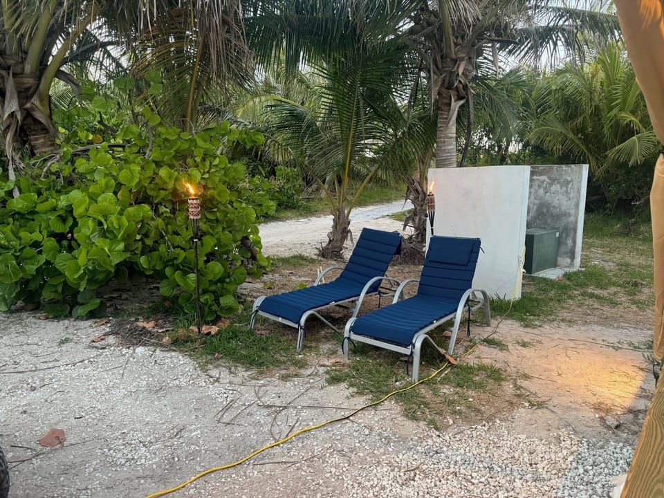 Comfortable lounge chairs