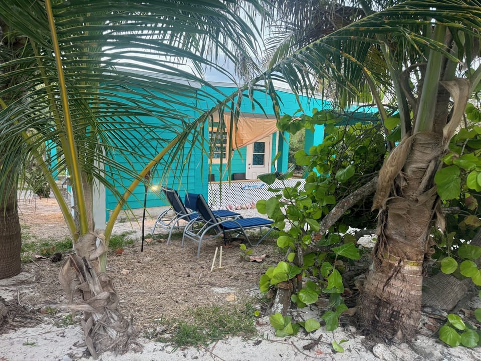 Relax under the palm trees