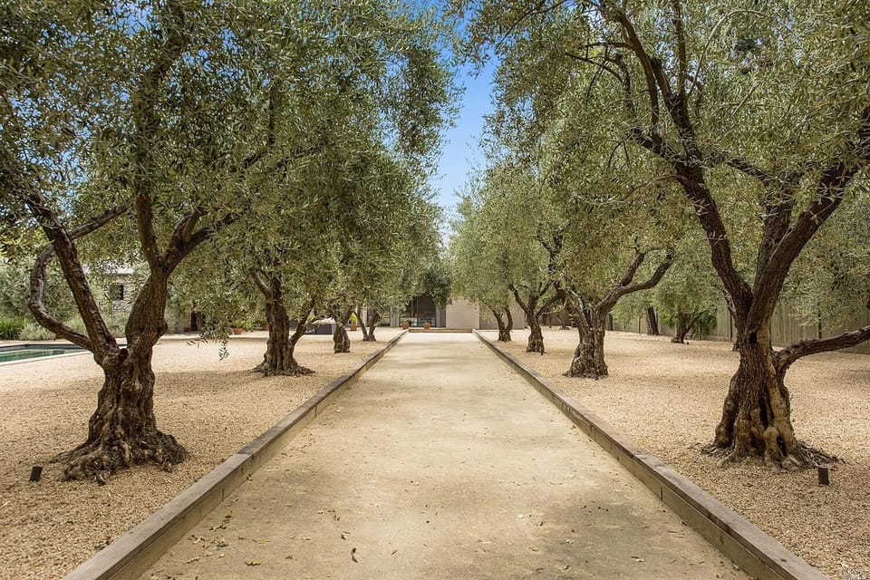 bocce ball court, olive grove