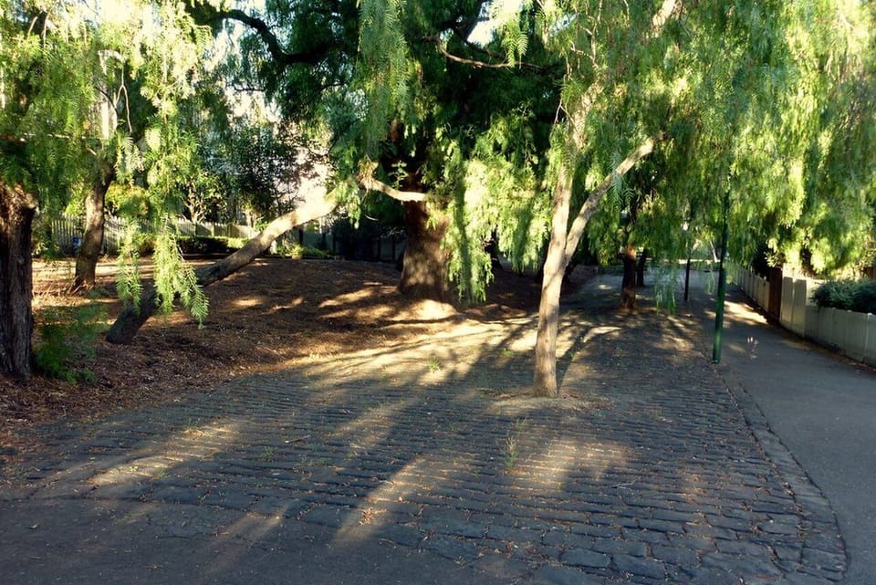 Direct access to quiet and beautiful walking paths