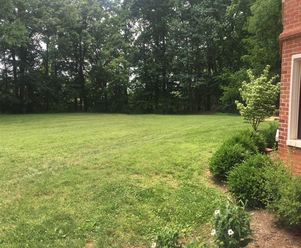 The back yard, looking southwest 