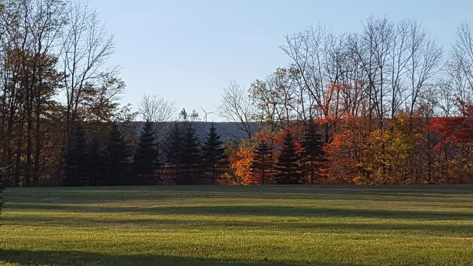View from condo unit patio 