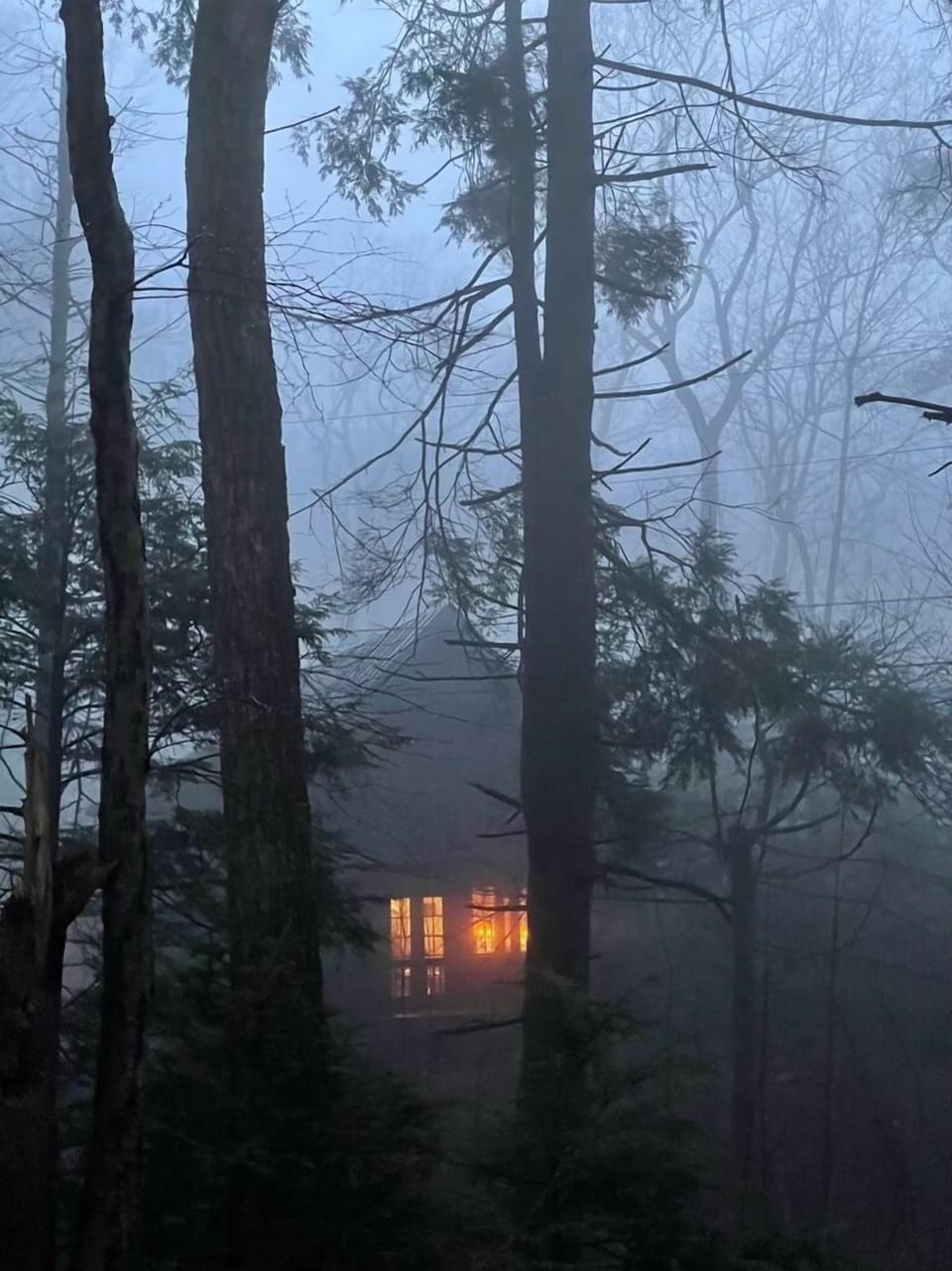 Refuge in the fog