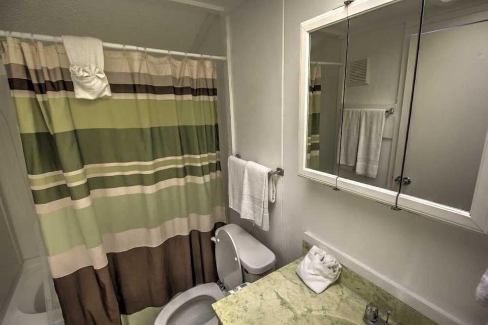 Room, Indoors, Bathroom, Toilet, Curtain