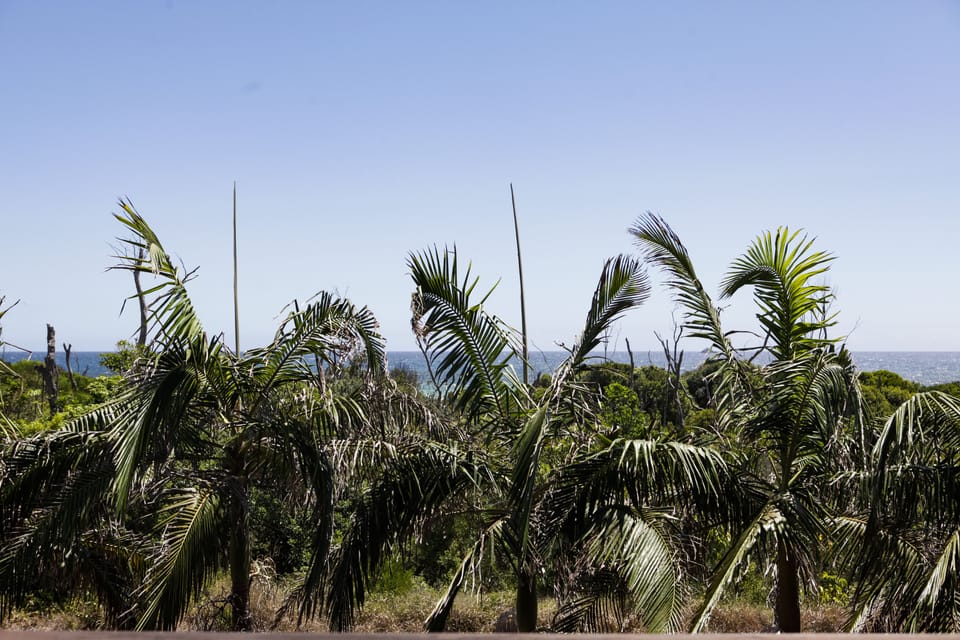 unobstructed view to Beautiful Belongil Beach