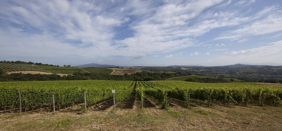 Flat in a winery in Montespertoli, A/C,Wi-Fi, swimming pool,children friendly,Ca Apartment in Tuscany