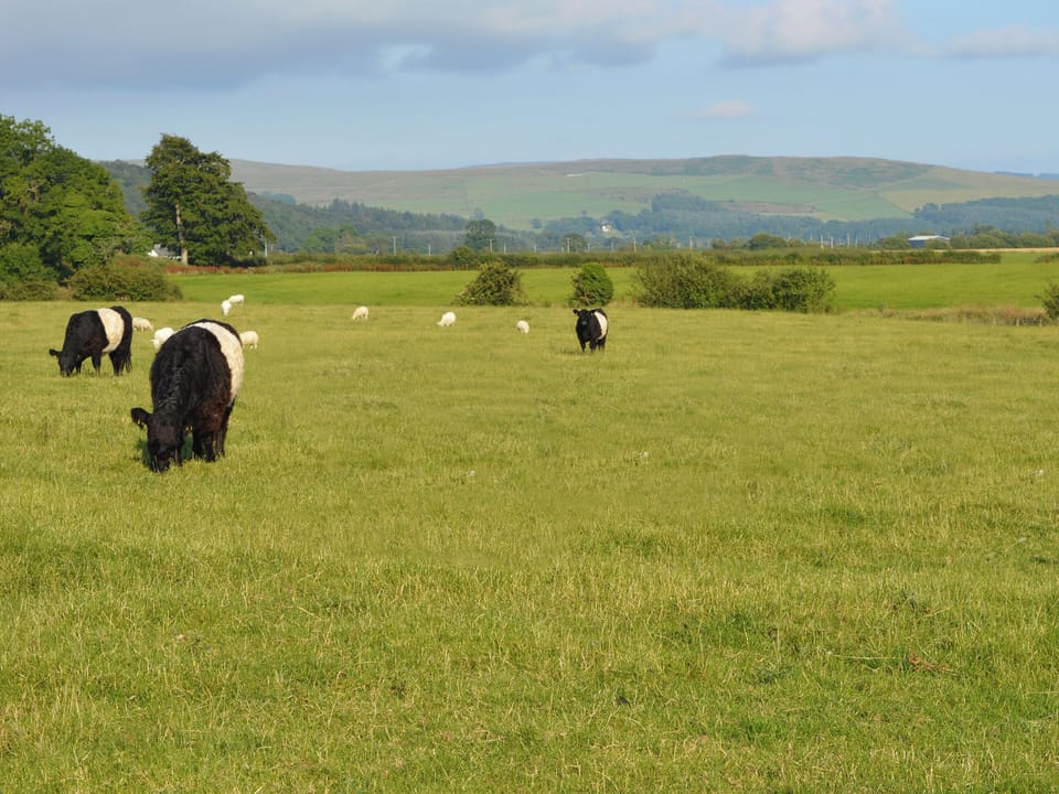 Lovely rural views from the property | The Dairy House, Near Newton Stewart