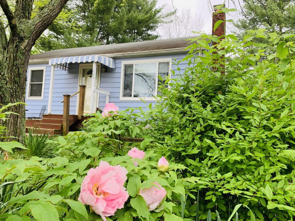 The Pinecone House is located in the popoular neighborhood, Elm Heights near IU.