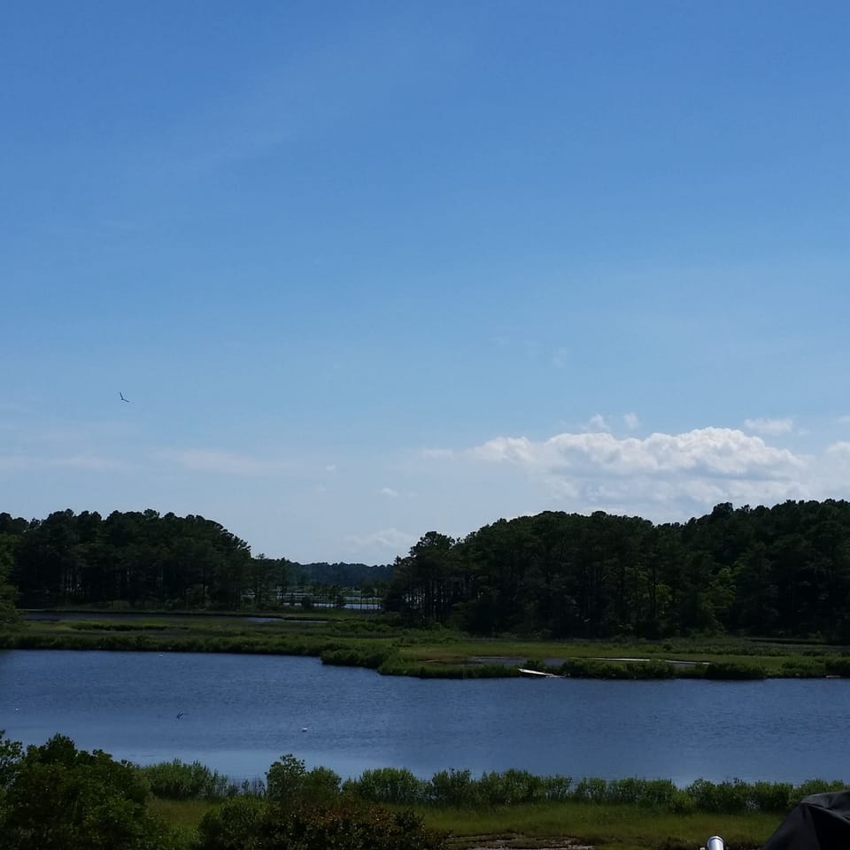 view from open elevated deck