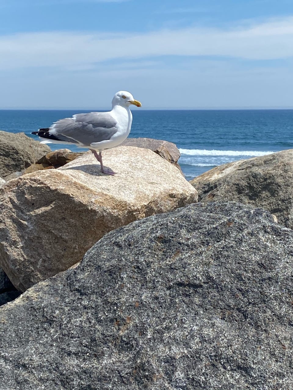 Ocean only 0.9 miles 12 to 15 min walk to Main and footbridge beach 