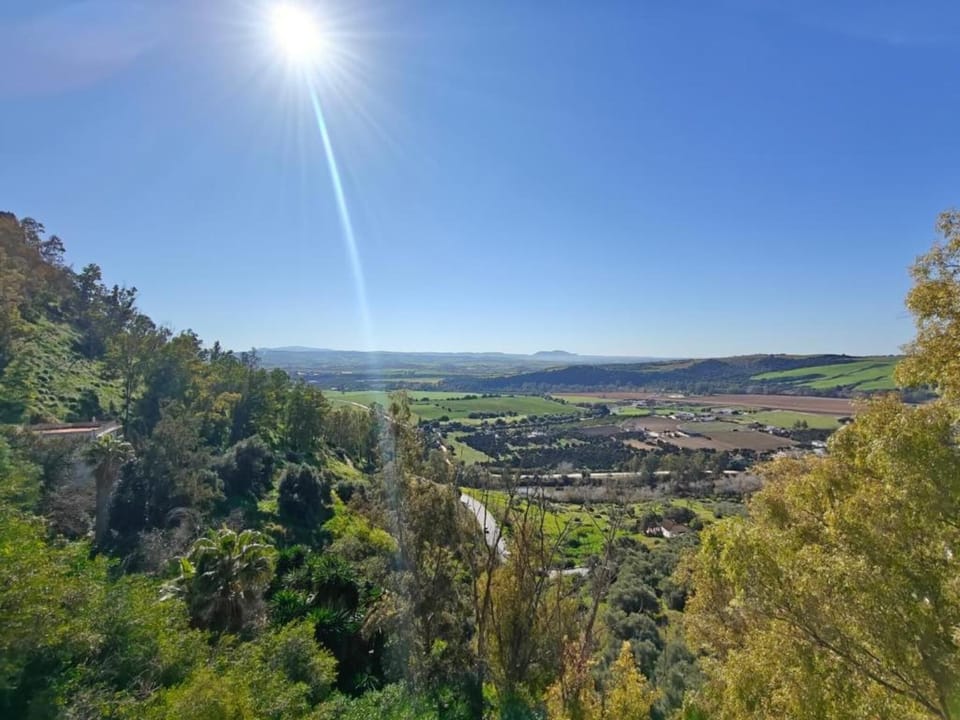 Region [summer] (>5 km)