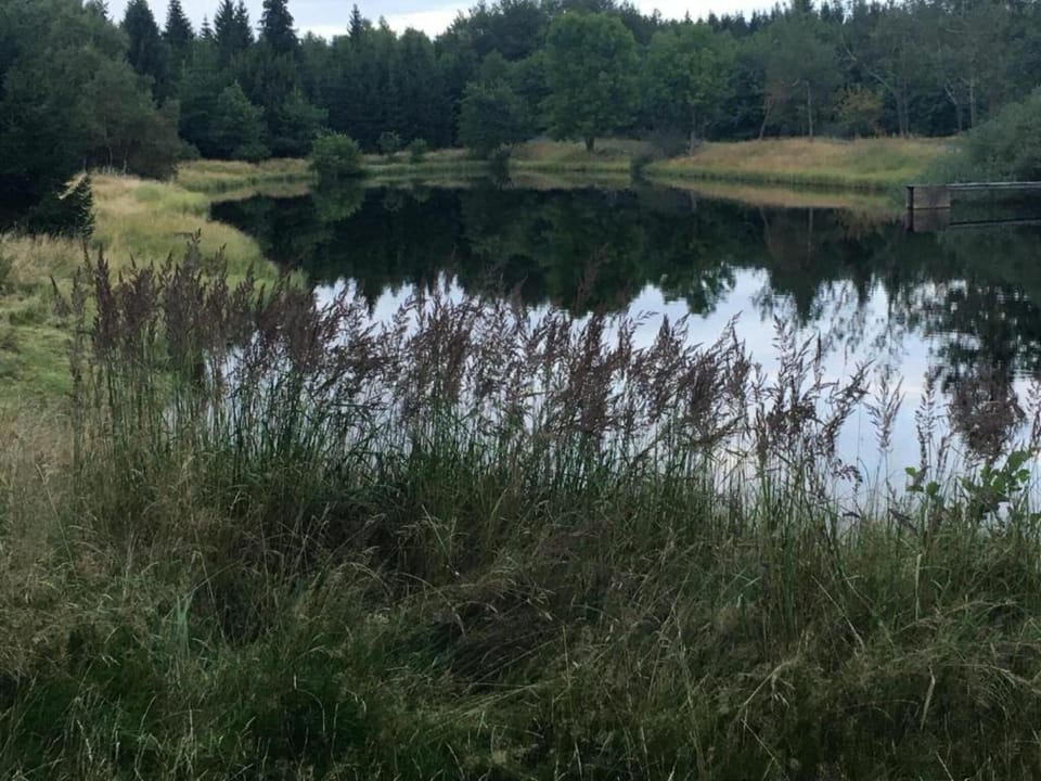 Surroundings [summer] (1-5 km)