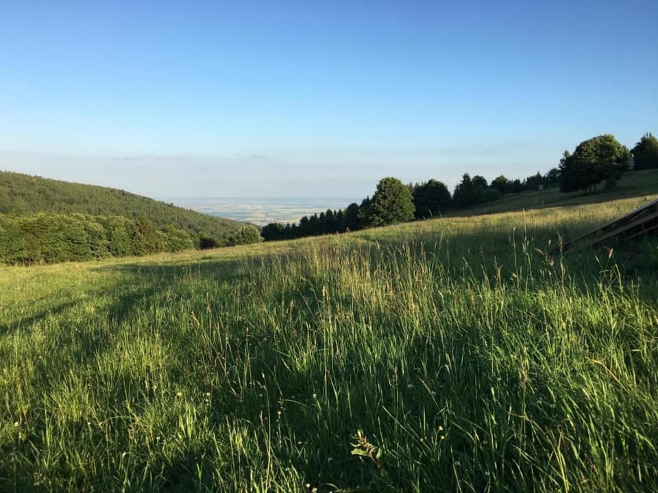 Surroundings [summer] (1-5 km)