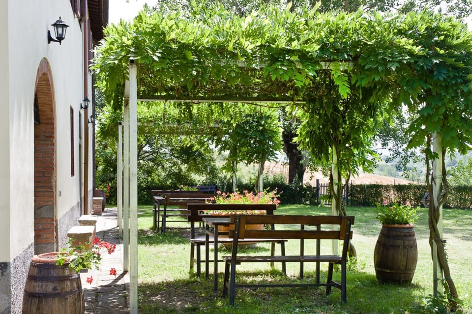 Tree, Property, Table, Furniture, Backyard, Patio, Garden, Botany, Real Estate, Yard
