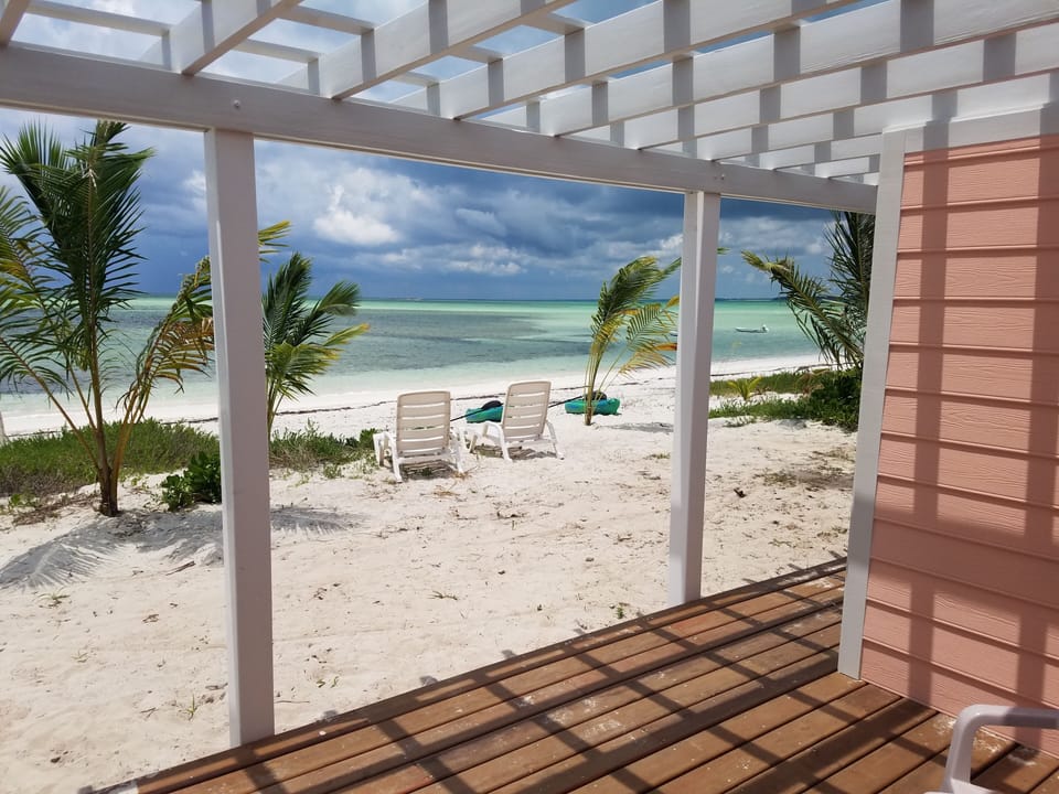 A Great View From the Deck