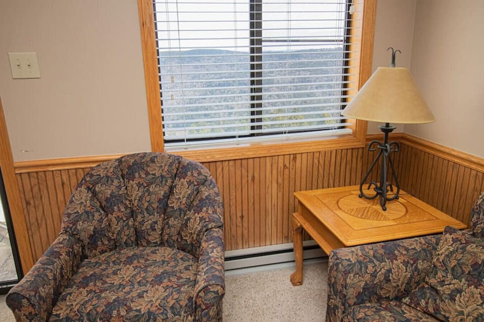 Mountain Lodge 356 Foldout couch sleeps two (2)