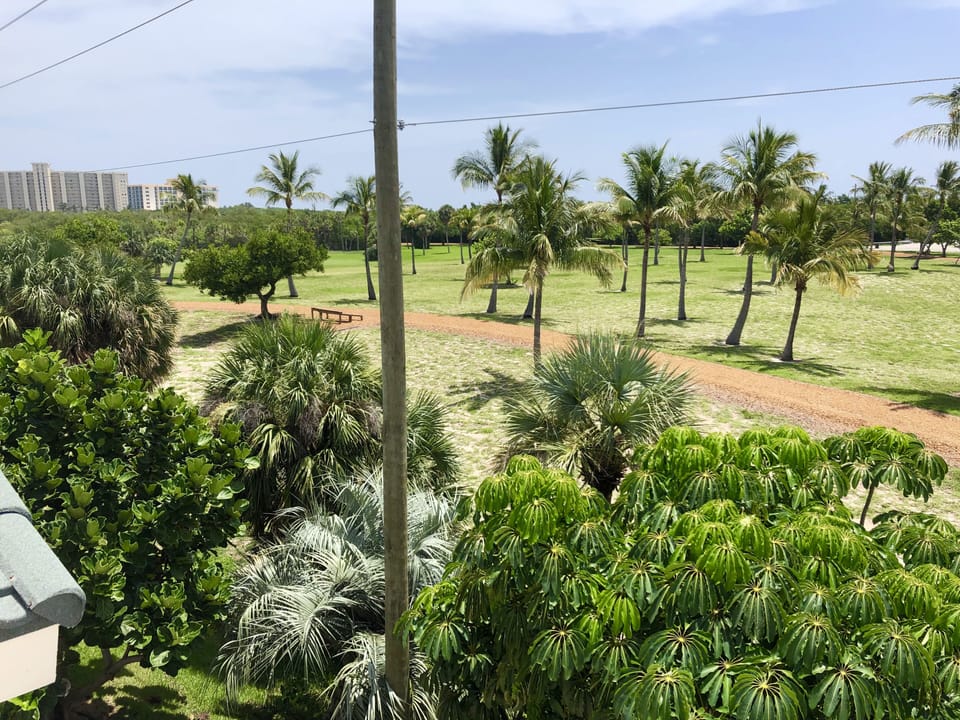Balcony view to the left (northeast)...