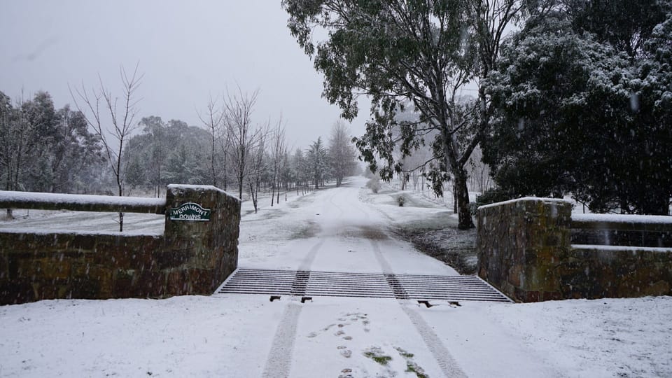 Winter Merrimont Downs Entrance to property