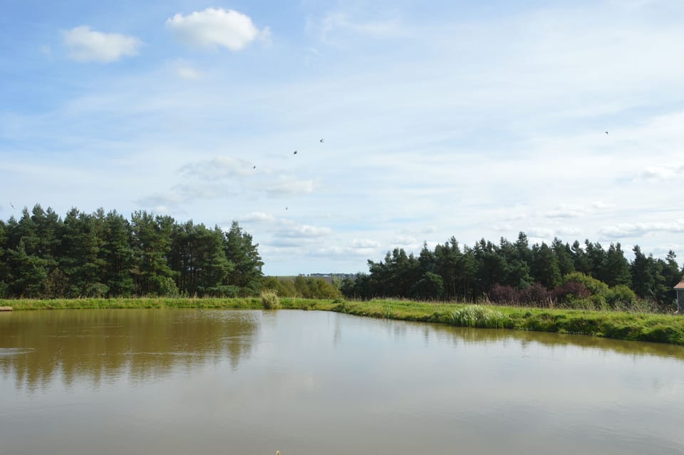 Fishing pond