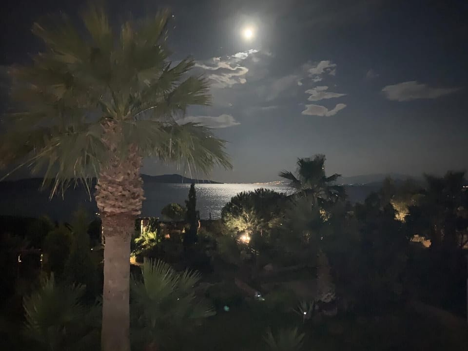 View from Balcony at night with full moon