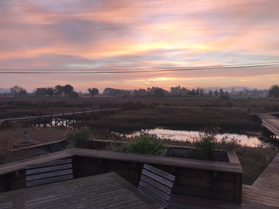 View from front deck