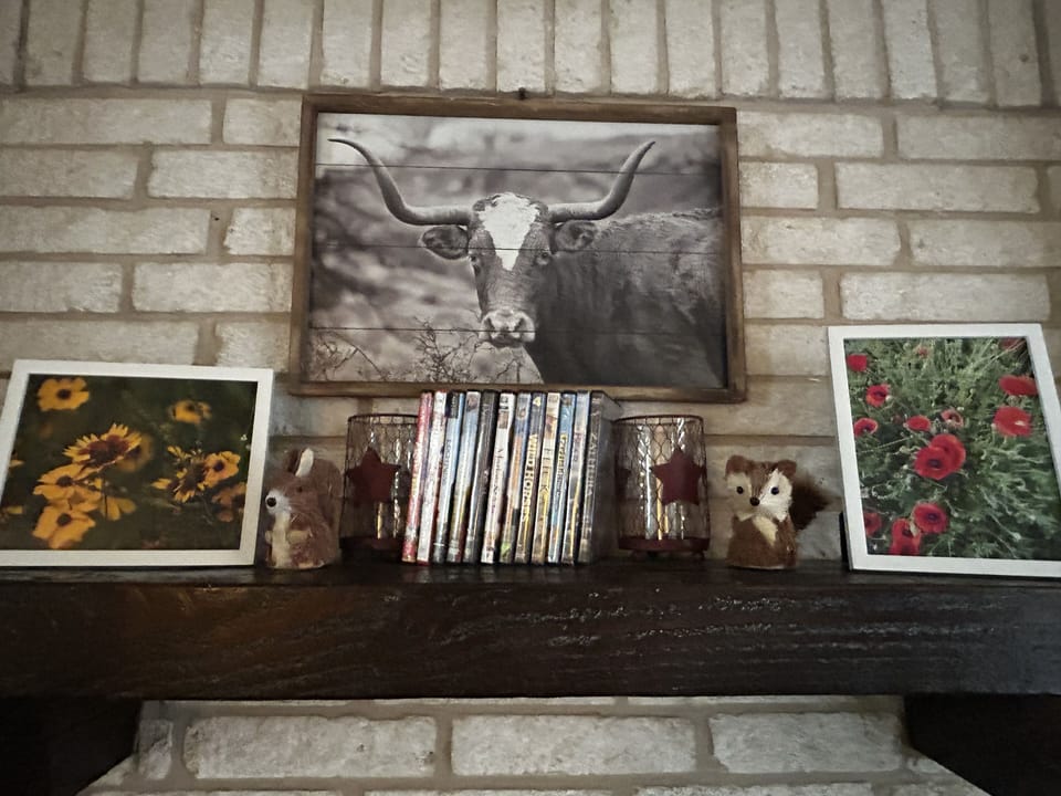 Our mantle has movies for everyone!