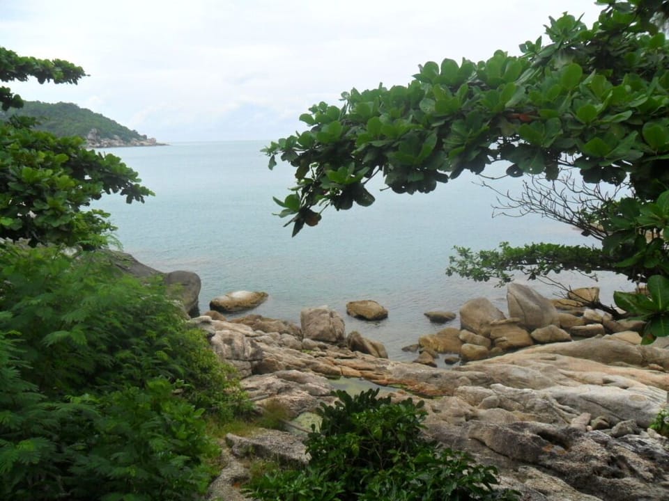 Double Fan Bungalow with Ocean View