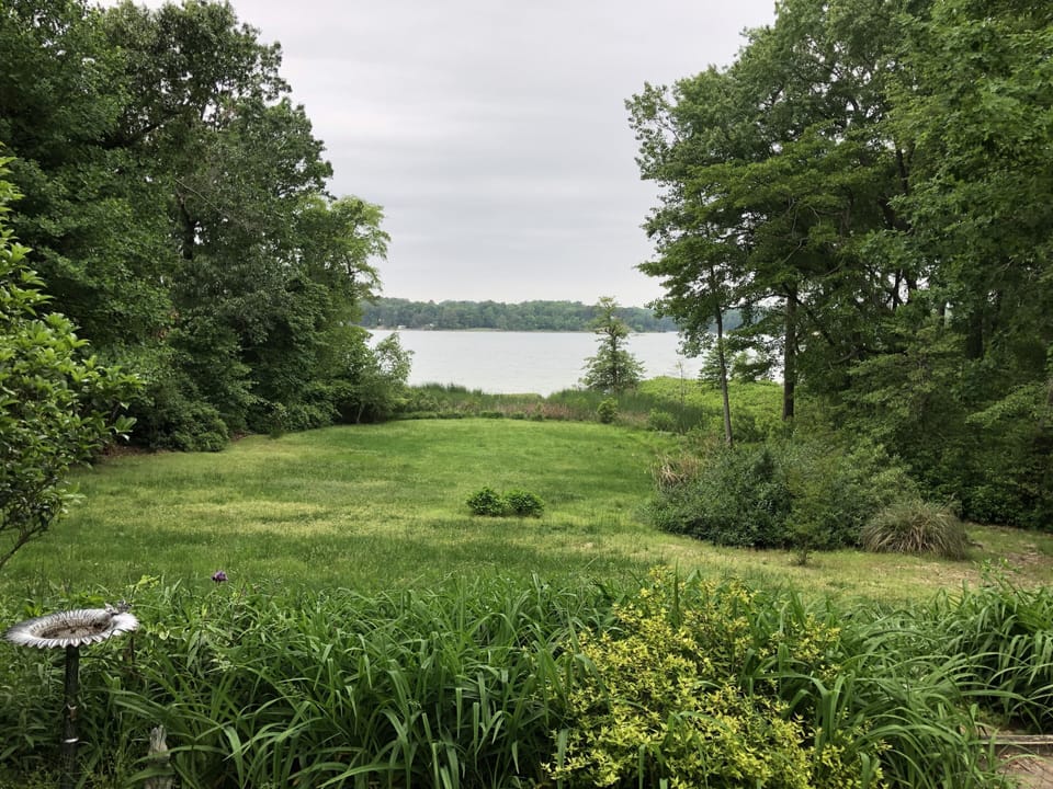 View from back patio.