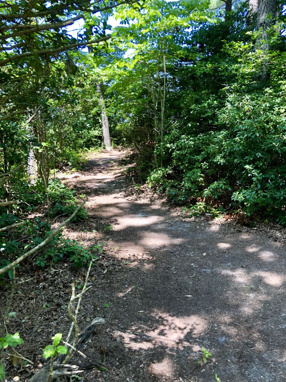 Path on property to water...