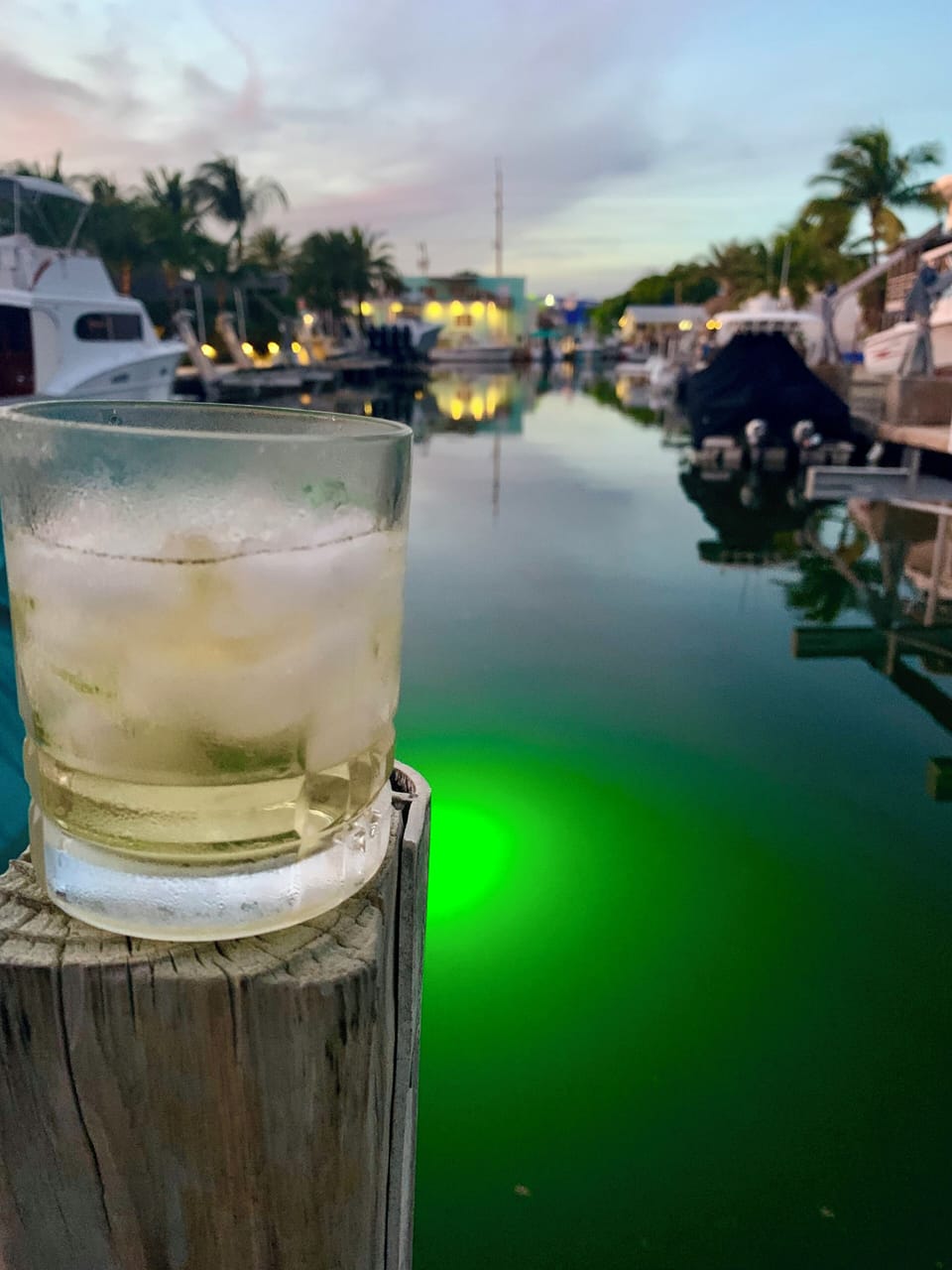 Enjoy a beverage on the water and see the beauty of the Florida Keys