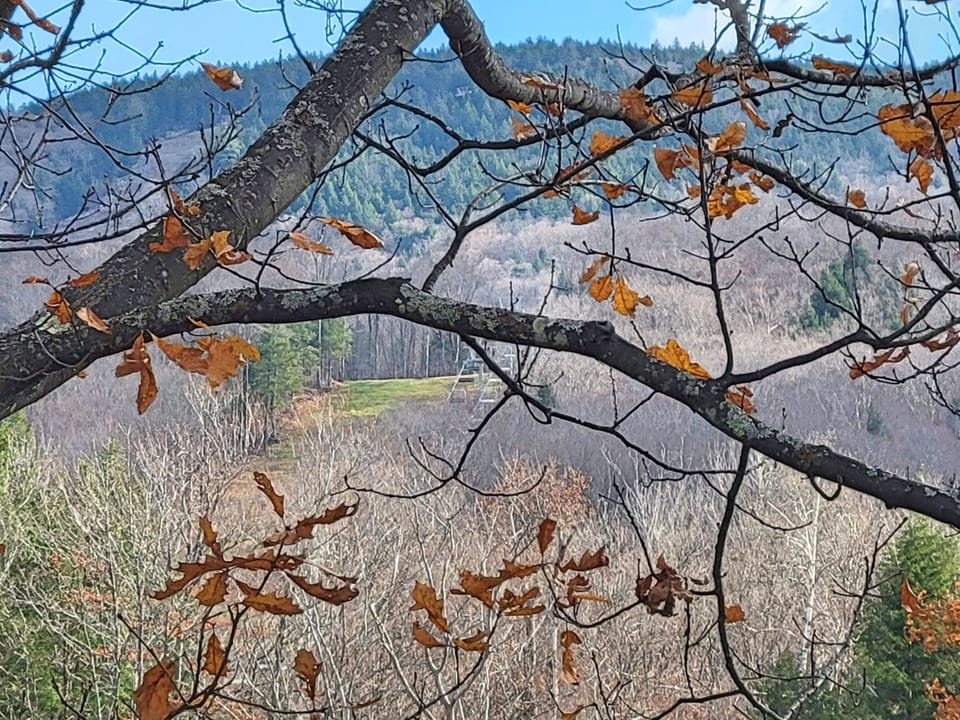 View detail with ski slopes