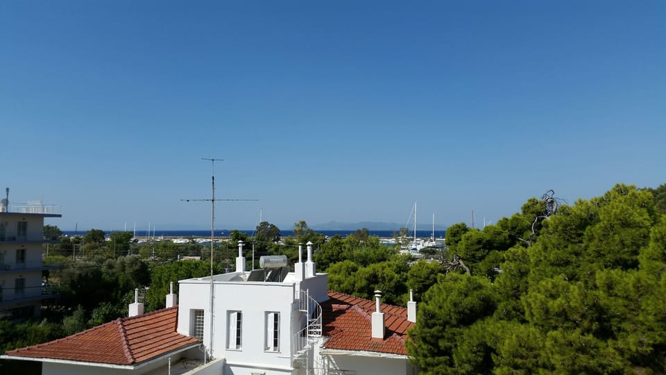 view from the veranda during the day