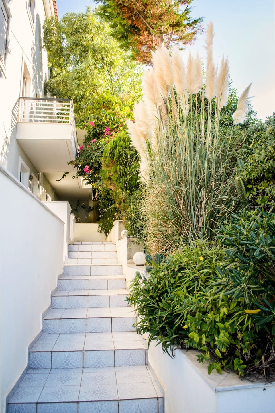 Next to the garden