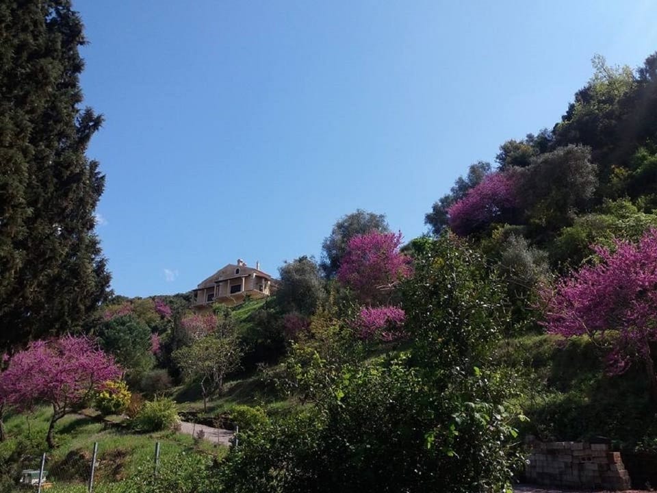 A sunny day of spring,on April 2017.The view of the house from our private gate.