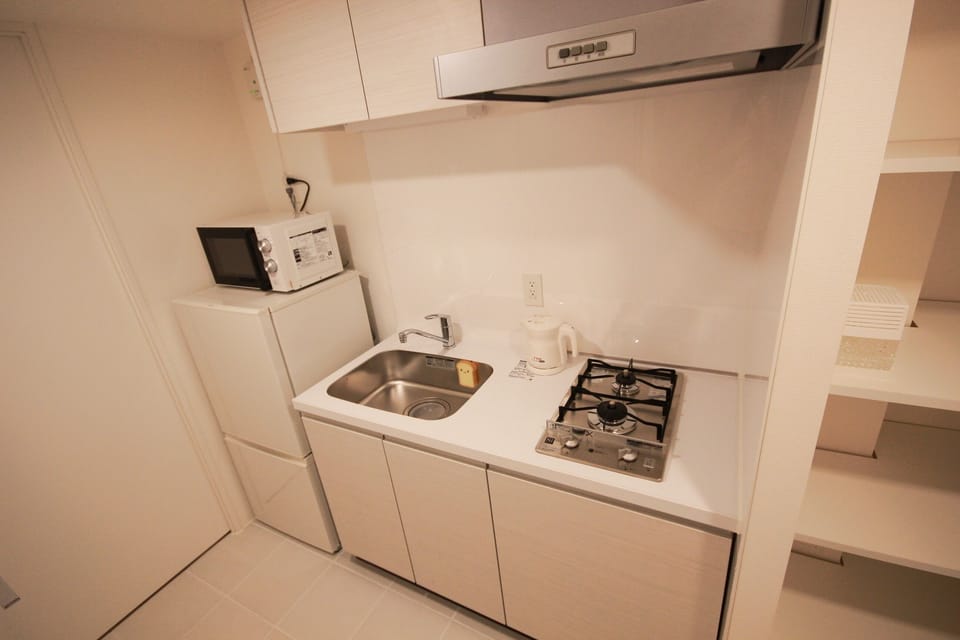 24A new house in shinjuku/great access