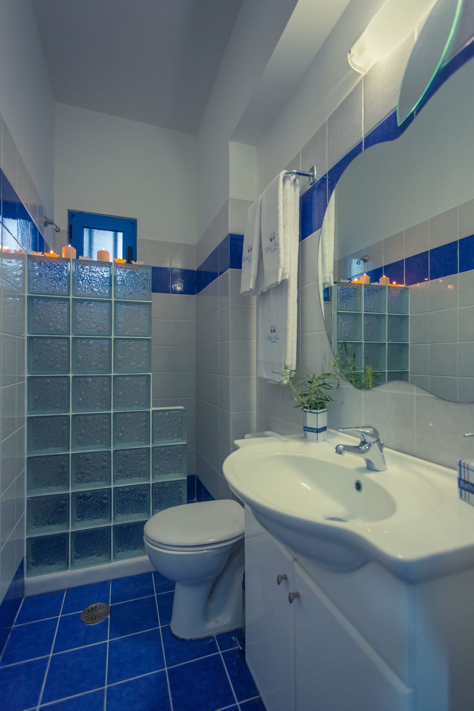 Βathroom with toilet and sink and large shower downstairs