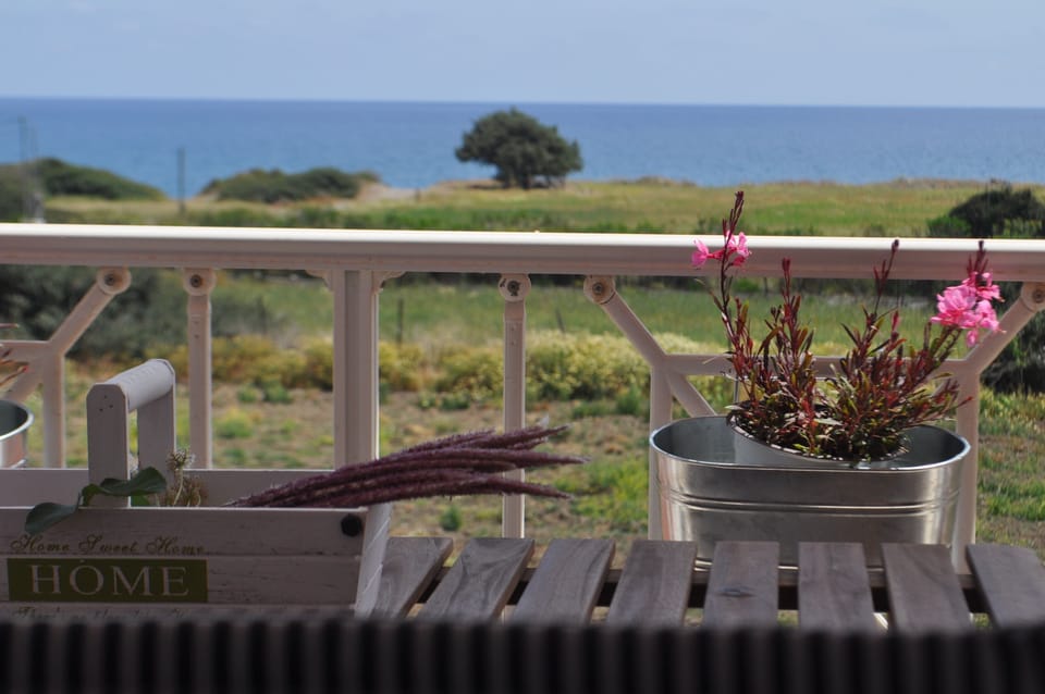 View from main bedroom. 