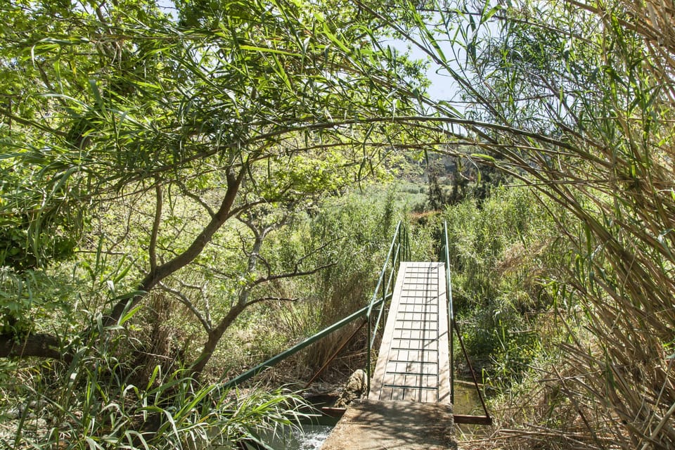 bridge of the river
