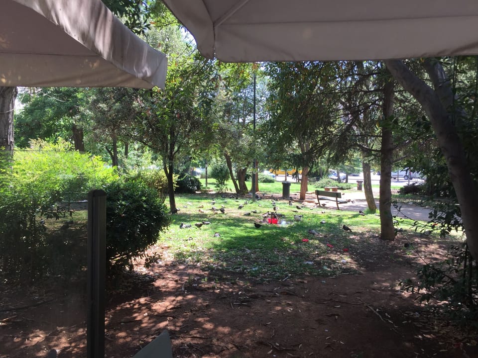 Square small park in 100meters