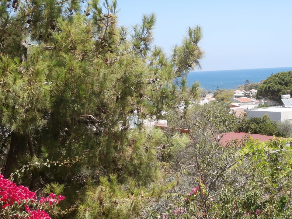 View from main balcony