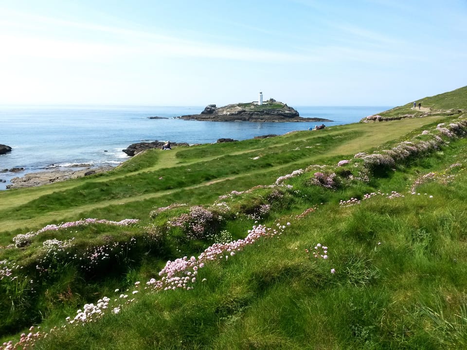 Godrevy Island with thrift growing in the foreground